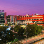 ഫ്രോസണ്‍ എലിഫന്റ് ട്രങ്ക് ശസ്ത്രക്രിയ വിജയകരമാക്കി കിംസ്‌ഹെല്‍ത്തിലെ മെഡിക്കല്‍ സംഘം, KIMS Hospital Trivandrum Best hospital in Thiruvananthapuram Multispecialty hospital Trivandrum Super specialty hospital Kerala KIMSHEALTH Trivandrum Top private hospital Thiruvananthapuram Best healthcare services Trivandrum KIMS Trivandrum, Cardiology hospital Trivandrum Oncology treatment KIMSHEALTH Neurology hospital Kerala Orthopedics Trivandrum Gastroenterology KIMS Trivandrum Pediatric care Thiruvananthapuram Nephrology hospital Kerala ENT specialist Trivandrum Cancer treatment KIMSHEALTH Joint replacement surgery Trivandrum Emergency medical services Trivandrum Pulmonology hospital Kerala Dermatology clinic Trivandrum, Hospital near Anayara Trivandrum KIMSHEALTH Cancer Centre Trivandrum Medical centre Kuravankonam Healthcare services Attingal Best hospital Varkala KIMSHEALTH Manacaud medical centre Trivandrum hospital for international patients Local hospital Thiruvananthapuram Best cardiologist in KIMS Trivandrum Affordable cancer treatment in Thiruvananthapuram NABH accredited hospital Kerala KIMSHEALTH emergency services Trivandrum Pediatric surgery in KIMSHEALTH Advanced neurology treatment Trivandrum Best hospital for joint replacement in Kerala KIMSHEALTH medical tourism Trivandrum 24/7 emergency hospital Thiruvananthapuram Super specialty hospital near Trivandrum airport KIMSHEALTH Hospital Kerala KIMS Cancer Center Trivandrum KIMSHEALTH NABH accredited hospital KIMSHEALTH quaternary care Trivandrum KIMS Institute of Skills Acquisition KIMSHEALTH patient reviews Medical tourism hospital Trivandrum International patient care KIMSHEALTH Affordable healthcare for foreigners in Kerala Best hospital for medical tourists in India KIMSHEALTH Trivandrum international services neyyar news neyyattinkara news neyyarnews.com neyyarnewsdotcom